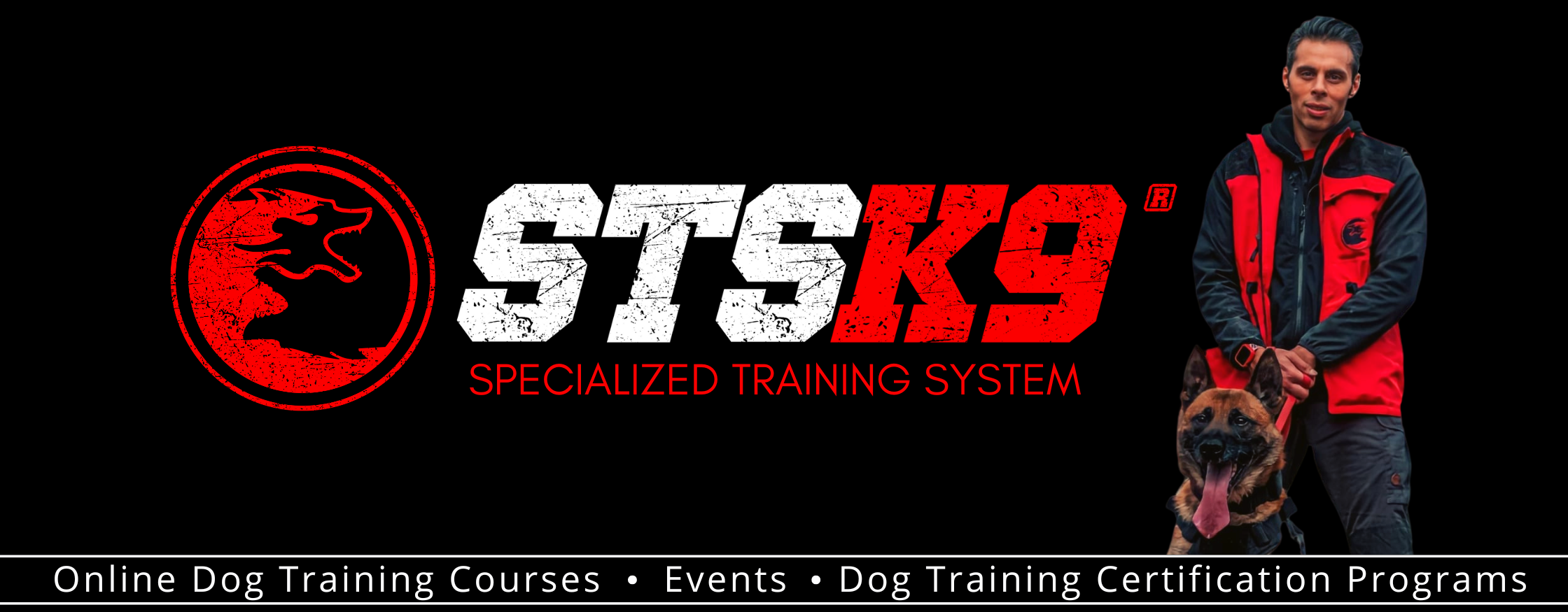 do-dog-trainers-need-to-be-certified