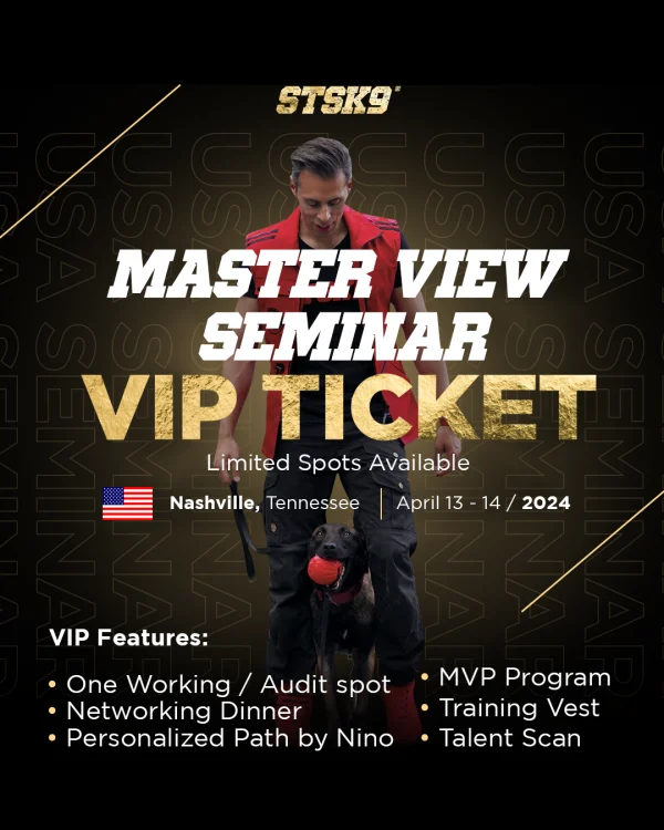 MVP Seminar Working VIP Ticket