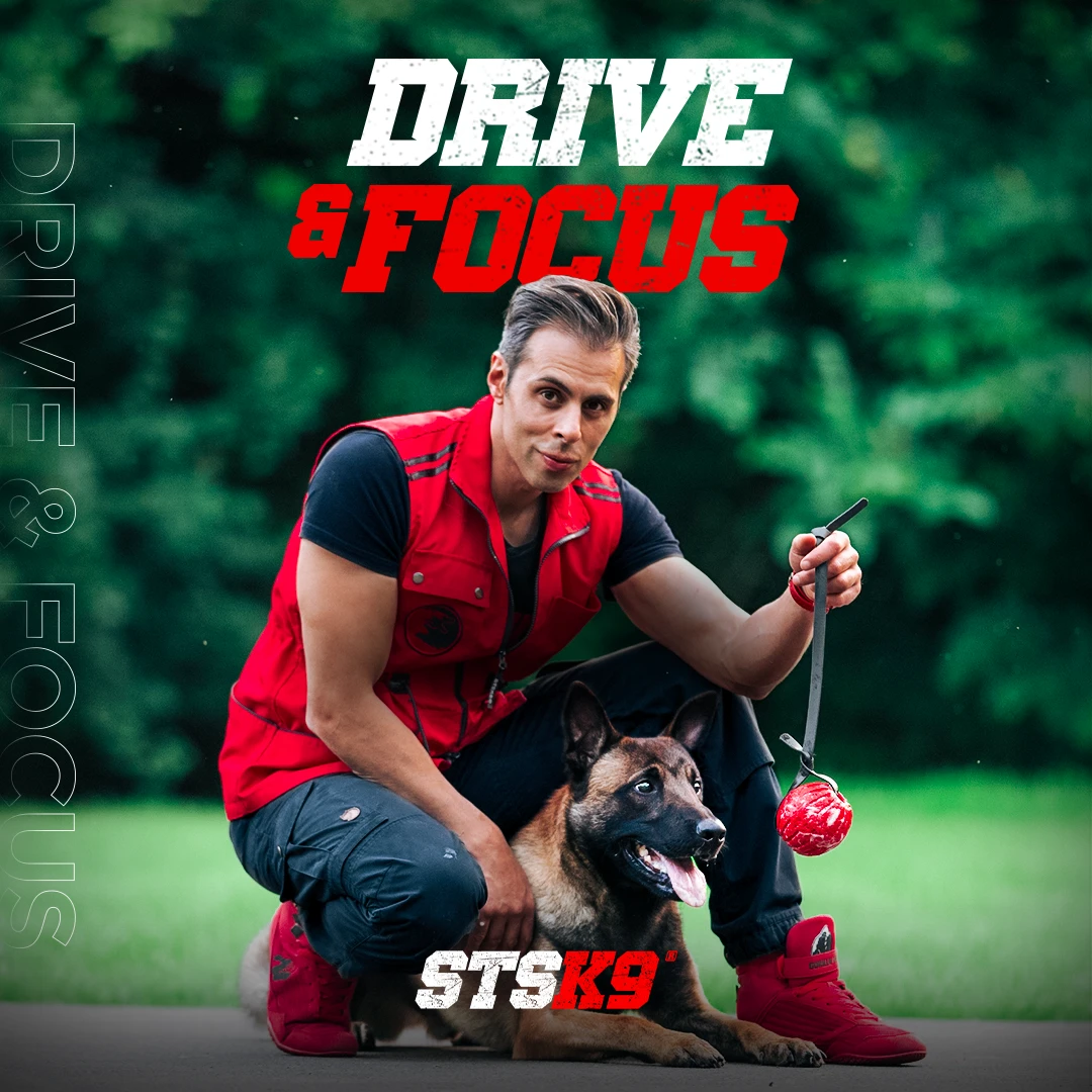 1-1 driveandfocus update 2024 copia