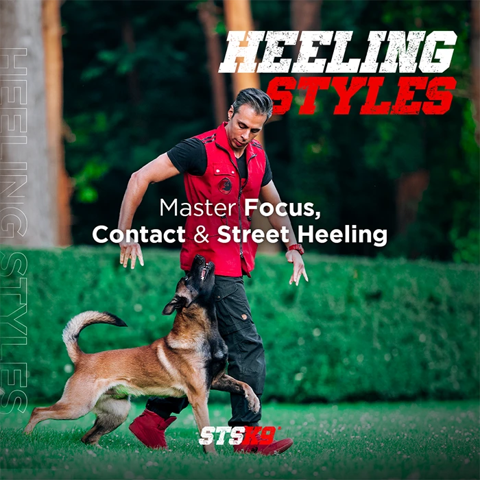 Program Thumbnail 1080x1080 HeelingS copia