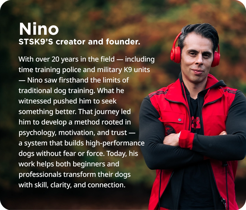 nino coaches