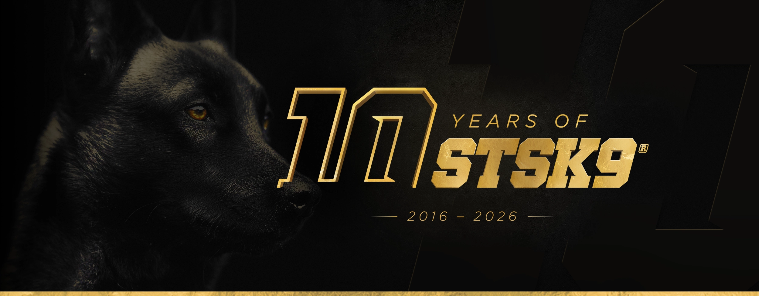 STSK9 Celebrating 10 Years